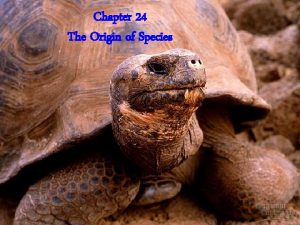 Chapter 24 The Origin of Species Macroevolution is