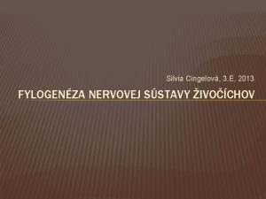 Silvia Cingelov 3 E 2013 FYLOGENZA NERVOVEJ SSTAVY