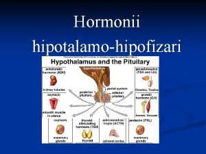 Hormonii hipotalamohipofizari Sistemul neuroendocrin hipotalamohipofizar Hipotalamusul este placa
