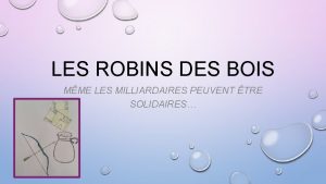 LES ROBINS DES BOIS MME LES MILLIARDAIRES PEUVENT