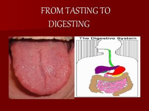 FROM TASTING TO DIGESTING Objectives 1 Identify the