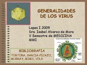 GENERALIDADES DE LOS VIRUS Lapso I 2009 Dra