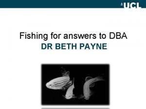 Fishing for answers to DBA DR BETH PAYNE