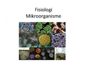 Fisiologi Mikroorganisme Fisiologi atau ilmu faal dibaca faal