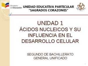 UNIDAD EDUCATIVA PARTICULAR SAGRADOS CORAZONES UNIDAD 1 CIDOS