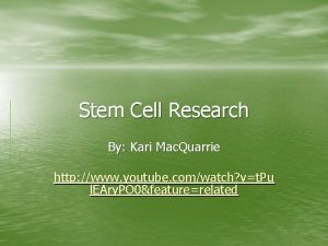 Stem Cell Research By Kari Mac Quarrie http