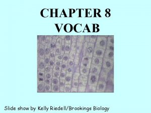 CHAPTER 8 VOCAB Slide show by Kelly RiedellBrookings