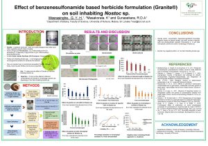 Effect of benzenesulfonamide based herbicide formulation Granite on