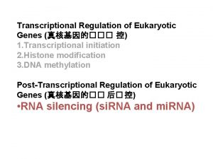 Transcriptional Regulation of Eukaryotic Genes 1 Transcriptional initiation