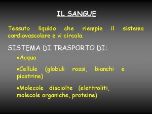 IL SANGUE Tessuto liquido che riempie cardiovascolare e