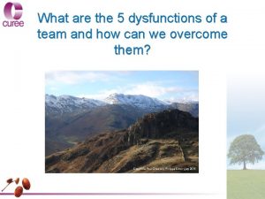 What are the 5 dysfunctions of a team