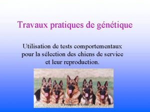 Travaux pratiques de gntique Utilisation de tests comportementaux