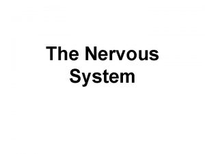 The Nervous System In order to maintain homeostasis