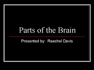 Parts of the Brain Presented by Raechel Davis