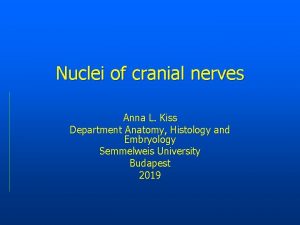 Nuclei of cranial nerves Anna L Kiss Department