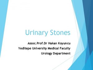Urinary Stones Assoc Prof Dr Hakan Koyuncu Yeditepe