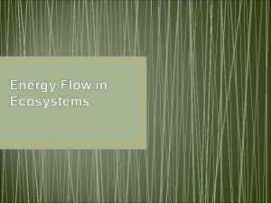 Energy Flow in Ecosystems Autotroph Organism that captures