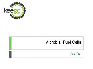 Microbial Fuel Cells And You What are MFCs