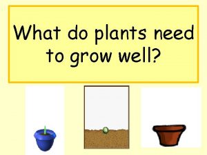 What do plants need to grow well The