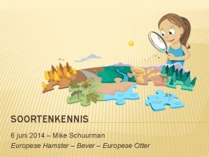 SOORTENKENNIS 6 juni 2014 Mike Schuurman Europese Hamster