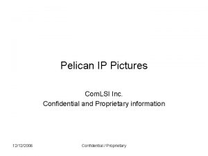 Pelican IP Pictures Com LSI Inc Confidential and
