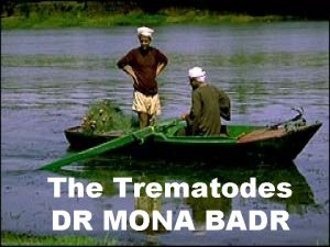 The Trematodes DR MONA BADR CLASSIFICATION OF PARASITES