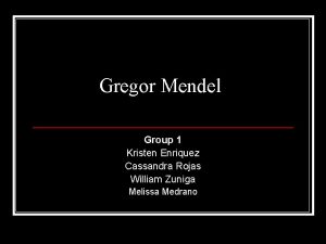 Gregor Mendel Group 1 Kristen Enriquez Cassandra Rojas