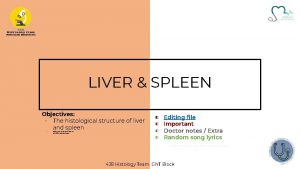 LIVER SPLEEN Objectives The histological structure of liver