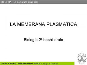 BIOLOGA La membrana plasmtica LA MEMBRANA PLASMTICA Biologa