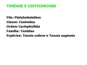 TENASE E CISTICERCOSE Filo Platyhelminthes Classe Cestoidea Ordem