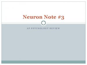 Neuron Note 3 AP PSYCHOLOGY REVIEW 1 Which