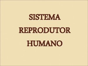 SISTEMA REPRODUTOR HUMANO Sistema Reprodutor Feminino formado por