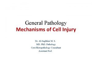 General Pathology Mechanisms of Cell Injury Dr AlSaghbini