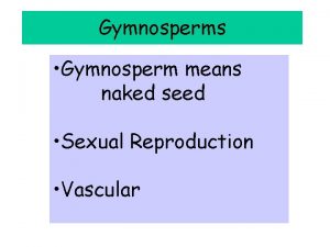 Gymnosperms Gymnosperm means naked seed Sexual Reproduction Vascular