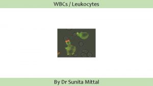 WBCs Leukocytes By Dr Sunita Mittal Learning Objectives