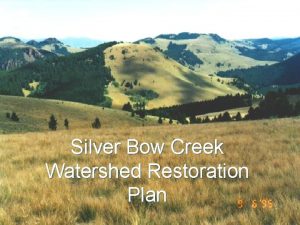 Silver Bow Creek Watershed Restoration Plan Injured Natural