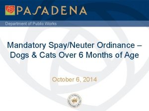 Department of Public Works Mandatory SpayNeuter Ordinance Dogs