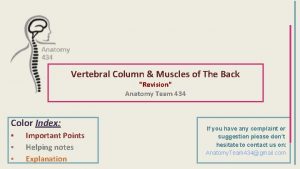 Vertebral Column Muscles of The Back Revision Anatomy
