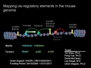 Mapping cisregulatory elements in the mouse genome Insulator