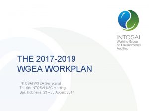 THE 2017 2019 WGEA WORKPLAN INTOSAI WGEA Secretariat