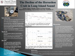 The Decline of the Horseshoe Crab in Long