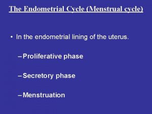 The Endometrial Cycle Menstrual cycle In the endometrial