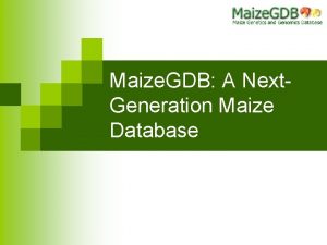 Maize GDB A Next Generation Maize Database What