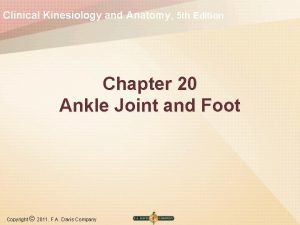 Clinical Kinesiology and Anatomy 5 th Edition Chapter