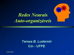 Redes Neurais Autoorganizveis Teresa B Ludermir Cin UFPE