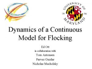 Dynamics of a Continuous Model for Flocking Ed