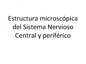 Estructura microscpica del Sistema Nervioso Central y perifrico