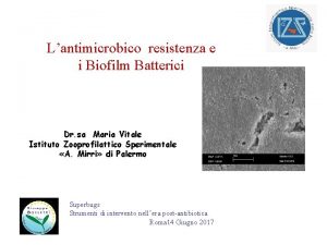 Lantimicrobico resistenza e i Biofilm Batterici Dr sa