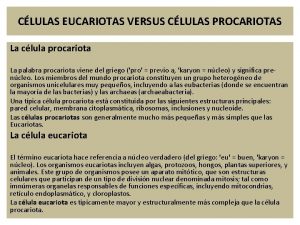 CLULAS EUCARIOTAS VERSUS CLULAS PROCARIOTAS La clula procariota