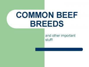 COMMON BEEF BREEDS and other important stuff Vocabulary